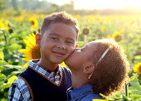 Families in the Sunflowers