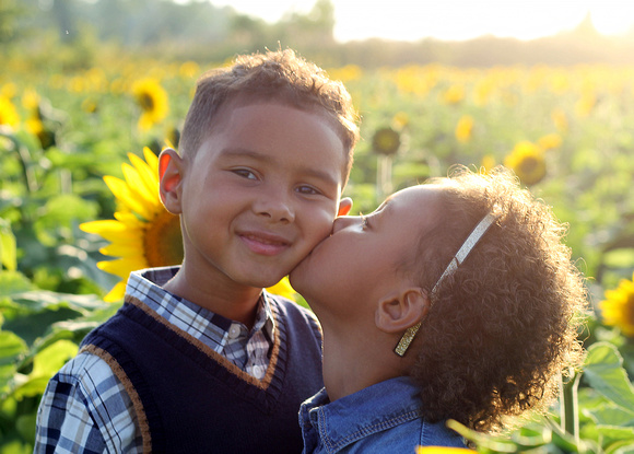 Families in the Sunflowers