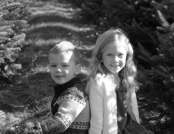 IMG_7777bw