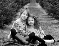 IMG_8884bw